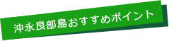 ポイント