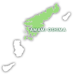 奄美大島マップ
