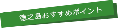 ポイント