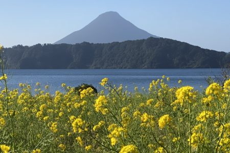喜界島発 鹿児島 宮崎への旅2日間 4 10月発 復路8日目まで延長可 奄美航空ツーリスト 喜界島発 鹿児島 宮崎への旅2日間 4 10月発 復路8日目まで延長可 奄美航空ツーリスト